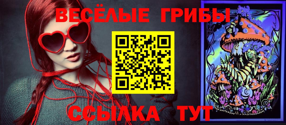 Псилоцибиновые грибы GOLDEN TEACHER Верхняя Пышма